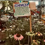 Appart hôtel Il Giardino Di Gaia 3*