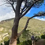 Appart hôtel Il Giardino Di Gaia 3*